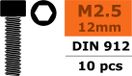 Revtec - Vis à tête hexagonale creuse - M2,5X12 - Acier - 10 pcs