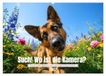 CALVENDO Zoek! Waar is de camera? (wandkalender 2027 DIN A2 liggend)