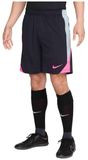 Nike Sportshorts FN2401-016 für Herren