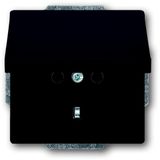 Busch-Jaeger ABB Busch-Jaeger Future Wandcontactdoos Antraciet