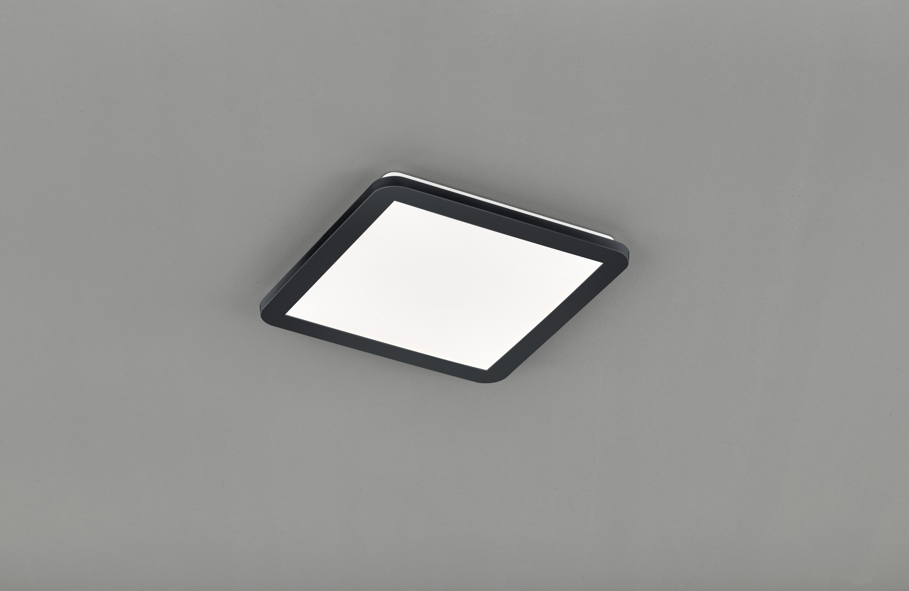 Reality Reality CAMILLUS - PlafonniÃ¨re - Zwart - LED - met geÃ¯ntegreerde 4 stappen dim functie - geschikt voor badkamer