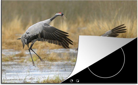 KitchenYeah® Inductie beschermer 77x51 cm - Europese kraanvogels - Inductiebeschermer voor Inductie Kookplaat