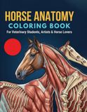 Horse Anatomy Coloring Book