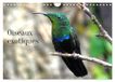Oiseaux CALVENDO Oiseaux exotiques (Calendrier mural 2027 DIN A4 vertical), CALVENDO calendrier mensuel: Oiseaux exotiques du monde entier
