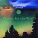 Sonic Rendezvous Jennifer Berezan & Friends - Praises For The World (DVD)