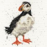 Bothy Threads Kruissteekset "Kleine Clown", 26x26cm, XHD34, telpatroon