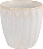 Cosy & Trendy Koffiekopje Astera Pure Wit - 240 ml