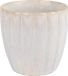 Cosy & Trendy Koffiekopje Astera Pure Wit - 240 ml