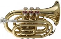 Stagg WS - TR245 Bb Pocket Trompet met Case