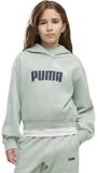 Puma Essential 2 Color Nº1 Logo Short Length Hoodie Grün 11-12 Jahre Mädchen