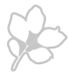 Sizzix Clear Stamps Set A5 with Framelits Die Painted Pencil Leaves