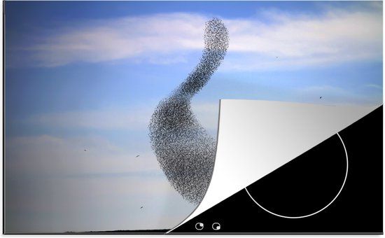 KitchenYeah® Inductie beschermer 77x51 cm - Zwerm Vogels - Inductiebeschermer