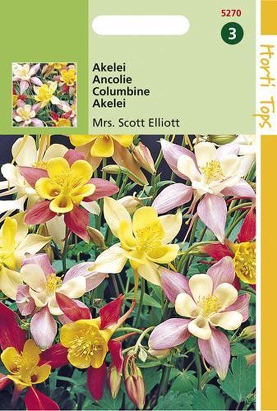 Hortitops Akelei Bloemzaad - Mrs Scott Elliott