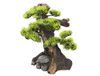 Nobby Aqua Ornaments Bonsai