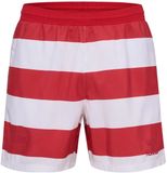 Hummel Zwemshort DBU Fan 24 pattern