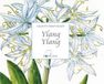 NATURALEADER IMPORT EXPORT, SL Sachet parfumé Ylang Ylang 5 g