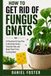 How to Get Rid of Fungus Gnats: A Practical 14-Day Plan to Eliminate Gnats, Treat the Soil, and Keep Them From Coming Back