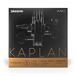 D'Addario KA312 4/4 M Medium Spanning 4/4 Schaal Kaplan Amo Viool Een String