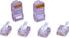 encitech RJ126P6CR Connecteur, droit 6P6C Transparent 1 pièce