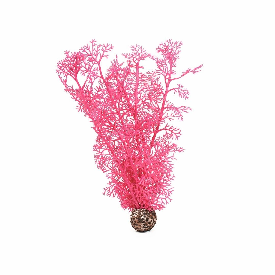 biOrb Hoornkoraal medium roze