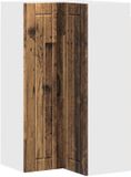 vidaXL Wandhoekkast LUCCA Oud hout 57 x 57 x 100 cm