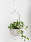 RISEON Boho Beige metalen plantenhanger, metalen muur en plafond hangende plantenbak, moderne plantenbak, midden eeuw bloempot plantenhouder, minimalistische plantenbak voor binnen en buiten