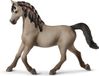 Schleich Horse Club Arabe étalon blanc 72153 Exclusive