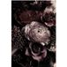 Pivoines Papier Peint Panoramique - 325 cm x 487 cm