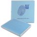 Cabin BLUE PRINT Cabin Filter-i30 2012>