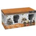 Robosen Minirobot Metal Slug 30th Anniversary Collector's Set Franstalige Versie