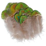 Baetis Plume Peacock