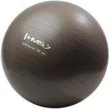 HMS YB02 Fitnessbal 65CM Violet/Bruin PVC Anti-barst Antislip Pomp inbegrepen