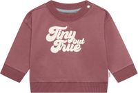 Noppies Sweatshirt gemengde kleuren / bourgogne