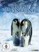 STUDIOCANAL Die Reise der Pinguine