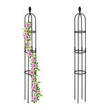 Relaxdays Plantensteun Klimplanten, Set van 2, 160 x 20 cm, Metaal, Kunststof, Tuin, Klimplantensteun Buiten, Zwart