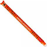 Legami - Uitwisbare Pen - TIJGER - Navulbaar - Inktkleur Oranje