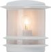 Brilliant Hollywood Buiten Wandlamp Transparant Wit