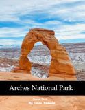 Arches Arches National Park: Arches: Red Rocks, Delicate Arch, Desert, Hiking, Utah and More