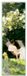 Your Decoration B.V. Kunstdruk Peter Severin Krøyer - Havepartie met Marie Kroyer 25x70cm