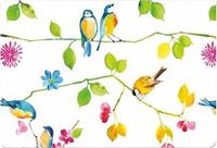 Watercolor Libri GmbH Watercolor Birds Notecards