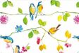 Watercolor Libri GmbH Watercolor Birds Notecards