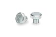 Puig 21808P Sierkap voor achteruitkijkspiegel, zilver