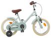 Vélo enfant 16 pouces pour 4-6 ans vert clair