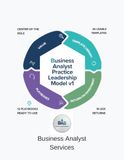 Business Analyst Practice Leadership Volume 1