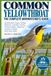 Common Libri GmbH Common Yellowthroat