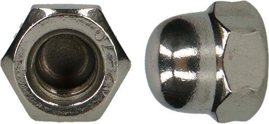 pgb-Europe PGB-FASTENERS | Zeskant dopmoer DIN 1587 M10 A2 | Zilver | 100 st