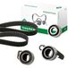 INA 530 0581 10 Distributieriem Kit