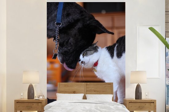 Nr1Wallpaper Behang - Fotobehang Kat - Hond - Samen - Breedte 155 cm x hoogte 240 cm