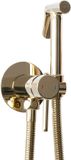 REA Lungo Loop Gold - Inbouw Bidetmengkraan - Goud