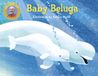 Baby Penguin Random House Ireland Baby Beluga Kartonboek